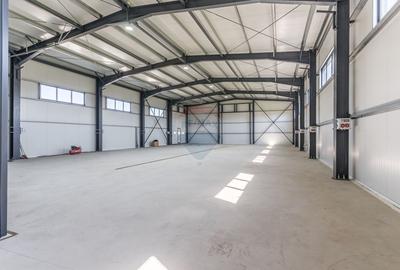 Spațiu Industrial - Hala Modernă de Închiriat, 600mp - Iași, 3 Fântâni - 4