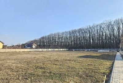 Teren Construcții intravilan de 3937 mp, în Corbeanca