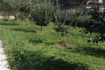 Casa  cu 2180 teren intravilan langa padure zona Popesti - 10