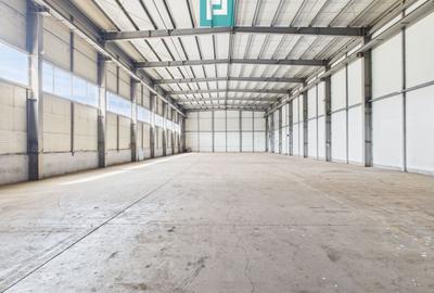 Hală industrială cu pod rulant de 3 tone în Arad - 13