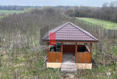 CASA CU TEREN DE 5000MP  - JUDET GIURGIU  30KM DE BUCURESTI - 22