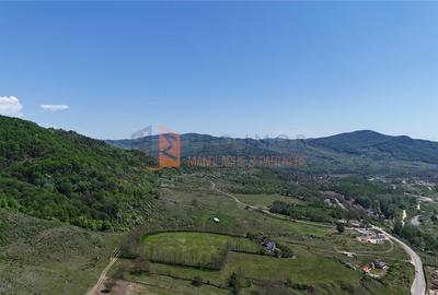 Teren intravilan zona Gura Bascei, com. Cislau - 4