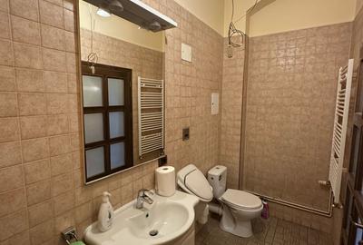 Apartament zona Piața Unirii - 17