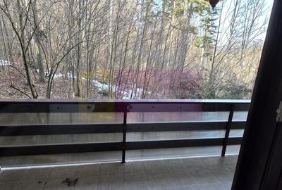 Apartamnet cu 2 camere de vanzare in Sinaia - 15
