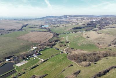 Teren agricol extravilan de vânzare – 67.500 mp – Dealul Daii, Sibiu - 1