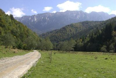 Teren Barsa lui Bucur, Plaiul Foii, Zarnesti - 2