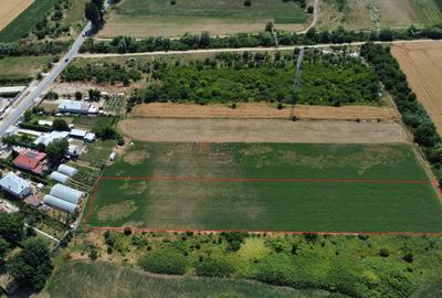 Teren Constructii Intravilan 4750mp SABARENI - 0% COMISION - 3