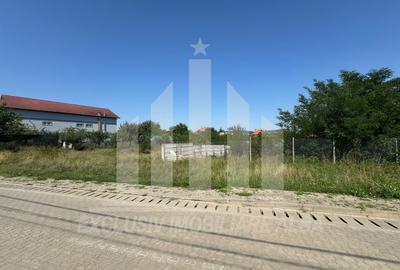 Teren intravilan | De vanzare | 2800 mp | 35 ml deschidere | Micesti - 2