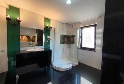 Ambasada SUA. Apartament 300mp, terasa 100mp, garaj. - 20