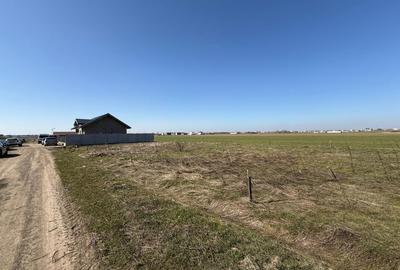 Teren Intravilan Primaverii - Berceni | utilitati in zona | #EG26R - 5