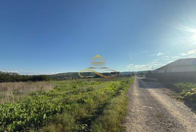 Teren de vanzare in Magura Bacau - 5
