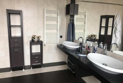 Casa D+P+E de inchiriat in Alba Iulia zona CETATE 350 mp si Teren 600 mp - 9