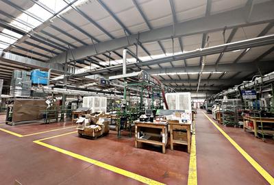 Hala de productie sau depozitare,de inchiriat,2 minute de Calea Borsului,Santion - 1