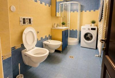 Bucovina–Mehala | 15 camere | 728 mp teren | Proprietate multifuncțională - 41