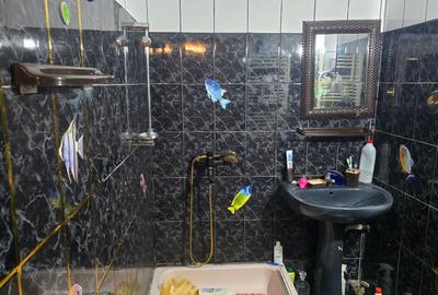 Vand sau schimb casa in Deva, zona Garii, P+M, suprafata 120 mp - 9