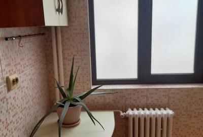 DOROBANTI ,IANCU DE HUNEDOARA GARSONIERA  PET FRIENDLY INCHIRIERE - 5