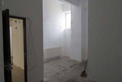 Inchiriere spatiu comercial Teiul Doamnei - 28