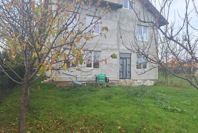 Casa la gri Clinceni Sp+P+Et+M - 4