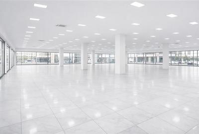 Spatiu Comercial 1000 mp Nicolina Cug intr-un Proiect Rezidential Nou - 1