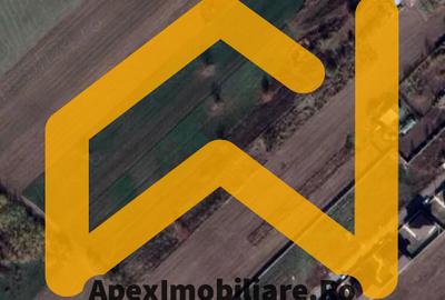 Teren Intravilan | Cernica-Sat Posta | 1588mp | UTR L1 - 1