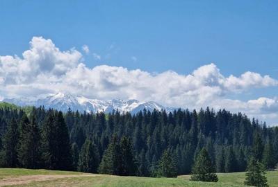 Teren 2.763 mp Poiana Brașov – lângă Stâna Turistică Sergiana - 1