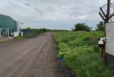 TEREN INTRAVILAN DE VÂNZARE ÎN OTOPENI-ODAI – OPORTUNITATE UNICĂ DE INVESTIȚIE! - 7