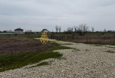 Teren intravilan de vânzare Berceni Vidra | 500–650 mp | curent la lot - 1