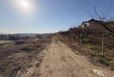 TEREN INTRAVILAN PANORAMIC DE VANZARE 5600 MP, CETATE, ALBA IULIA - 4