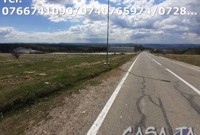 Teren Intravilan(3000mp), Novaci - Ranca - 3
