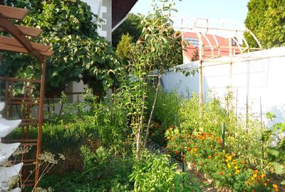 Vila piscina superba gradina matura cu iesire directa la padure - 18