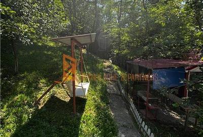 Ansamblu cabanute zona Cozieni - 27