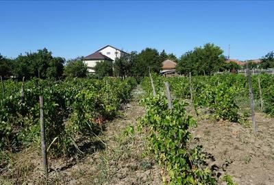 Teren stradal cu casa veche in Podari - toate utilitatile - 7