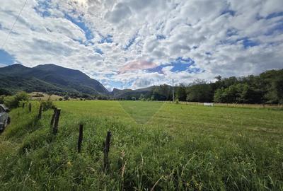 Teren de vanzare  Intravilan 19.341 mp – Cheile Râșnoavei, Parcelabil - 1