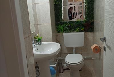 Apartament 3 camere, Calea Bucuresti, mobilat, centrala - 21