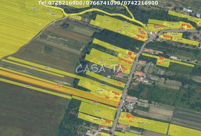 Teren Intravilan (5000 mp),situat in Curtisoara (Gorj) - 2