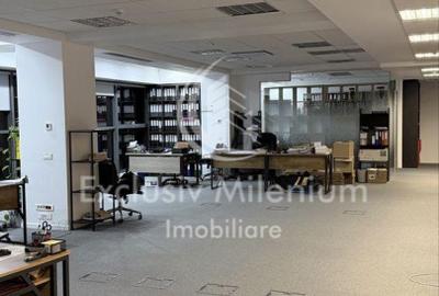 Spatiu de Birouri Caramfil - Herastrau - 4