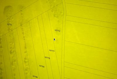 🌄 Teren de vânzare Rusciori, Sibiu 📐 600 mp-1000 mp • direct de la proprietar - 3