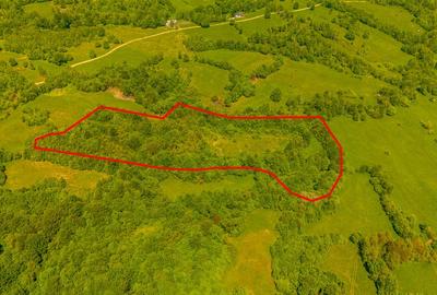 Teren ideal recreere/conectare cu natura/zona Fagaras/achitare in rate - 6