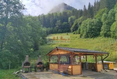 Vanzare Pensiune , Casa ,  Rezervatia Piatra Craiului / Satic, Arges - 7