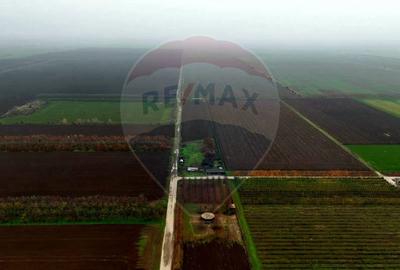 Ferma agro-industrială – 43 ha Adunații Copaceni - 12