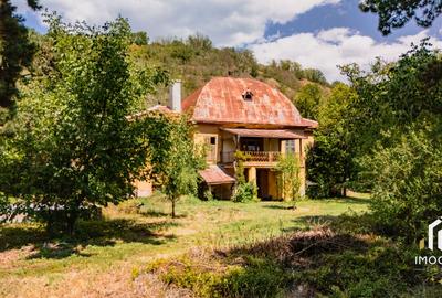 Vila Conac boieresc contelui Fabia 1920 de vânzare Păuliș Arad 2,4 ha - 7