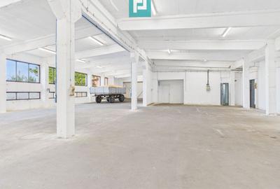 Hală industrială cu multiple destinații în Nădlac - 4