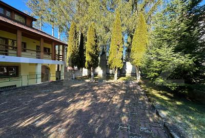 Casă P+2 în Predeal, Cioplea – vedere spre pârtia Clăbucet și Crucea Caraiman - 7