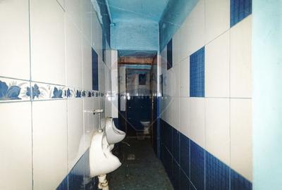 Vanzare Vila Interbelica Stradala, Pta Regina Maria, Ocazie Investitie - 38