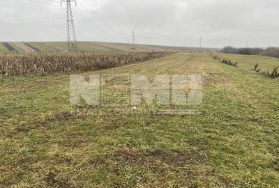 Teren Burdujeni | Zona Tarinca | 41 Ari - 3