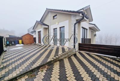 Casa cu curte in Faget - 20