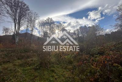 Oportunitate de investiție – Teren pentru hotel / pensiune pe Valea Avrigului - 9