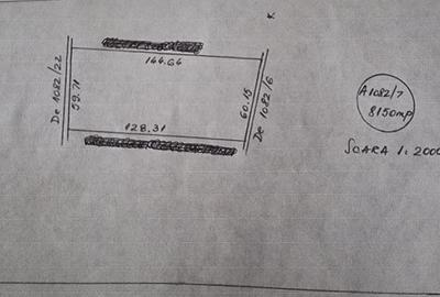 Teren Extravilan - 1