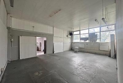 Hala, Iasi, CUG, 211mp, zona vamii - 2