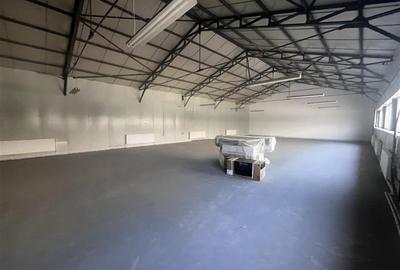 Hala de inchiriat  400 /?, zona Bariera Bucuresti, Ploiesti - 3